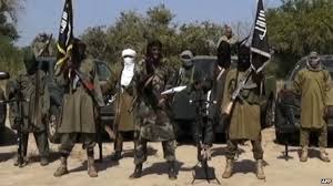 Boko Haram: Why The Blame Game? -By Aisha Salaudeen
