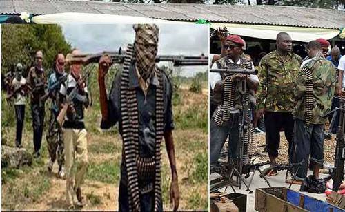 Boko Haram terrorists and the Niger Delta militants