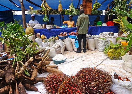 Agricultural produce in Nigeria