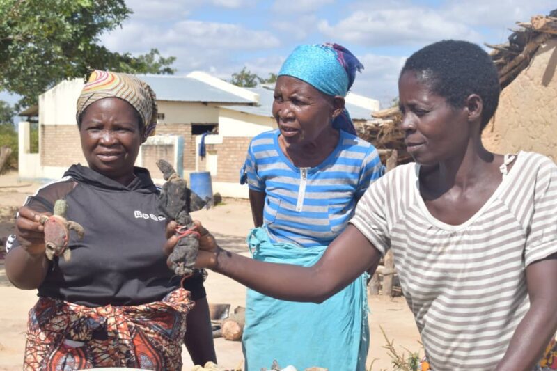 Witchcraft in Malawi