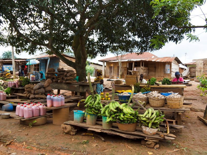 picture of a rural market in a rural area