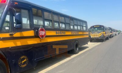 A fleet of Borno Express buses to provide subsidised transportation