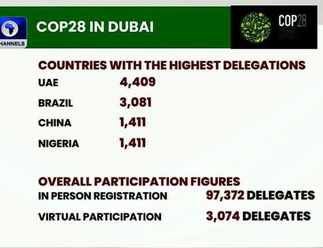 COP28 and Nigeria's delegate