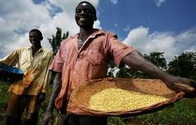Making Agriculture Work For Nigeria