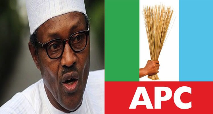 The Buhari re emergence and some implications for Nigeria By Akintokunbo Adejumo