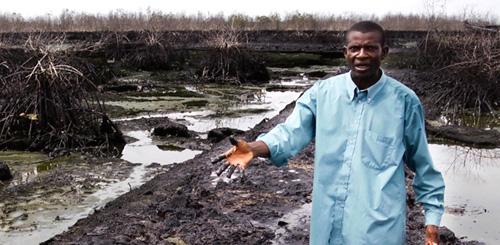 So Now What Becomes of the Niger Delta By Ogaga Ifowodo