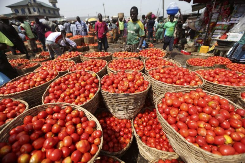 tomatoes on display in a market in lagos nigeria e1468391117466