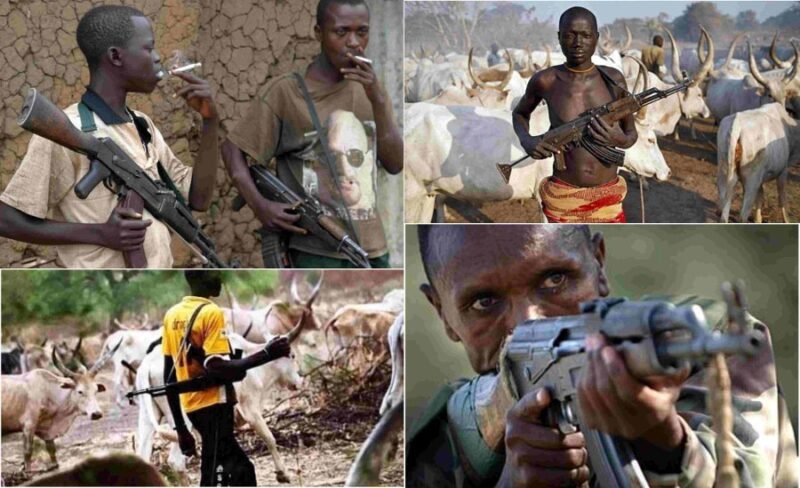 Fulani Herdsmen wielding guns