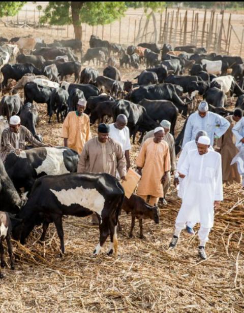 Buhari’s farming