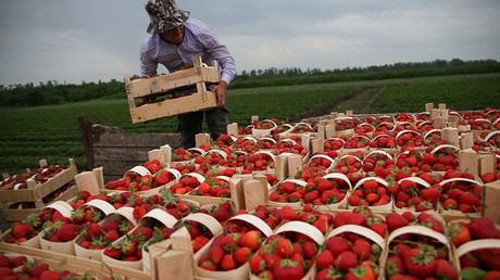 Russian booming agricultural sector
