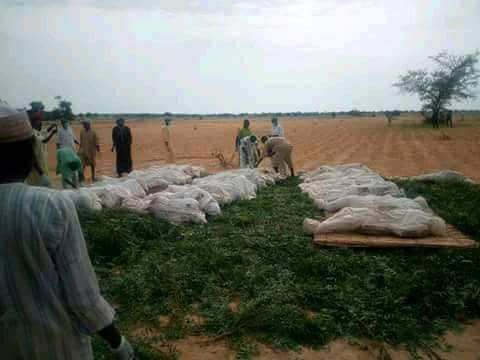 Sokoto killings