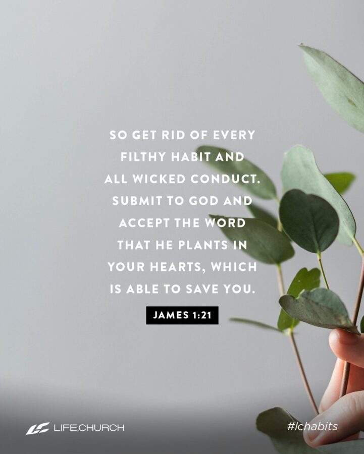 Bible Quotation