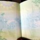 Nigeria new international passport
