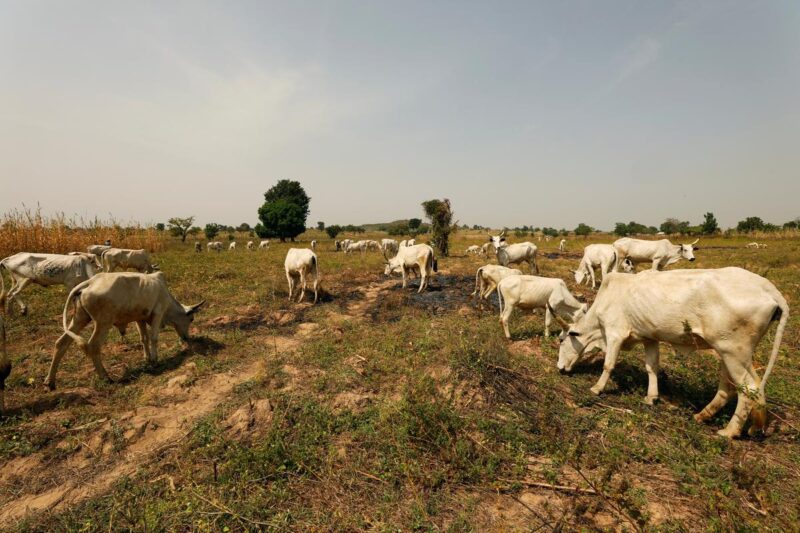 fulani herdsmen