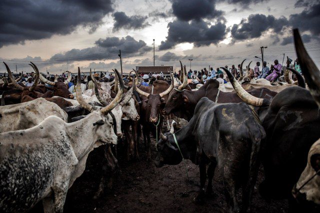 Ruga fulani herdsmen terrorism