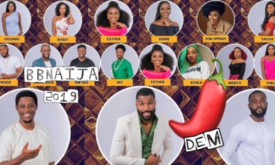 BBNaija 2019 Big Brother Naija