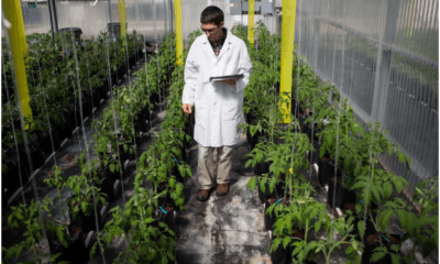 Plant Breeding and Seed Technology