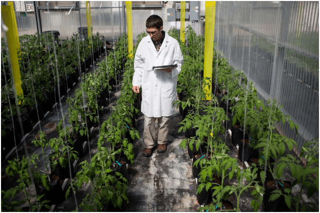 Plant Breeding and Seed Technology