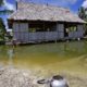 With surrounding sea levels rising it is estimated the island nation of Kiribati will likely become uninhabitable in 10 15 years