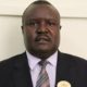 HON. FORTUNE CHARUMBIRA PAP VP