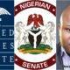 Trump trial and US Nig. Senate assessment