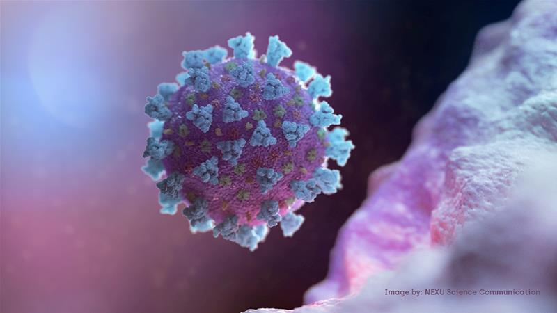 Coronavirus pandemic