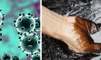 Crude oil and Coronavirus