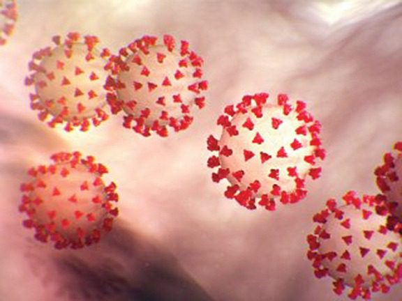 Novel coronavirus