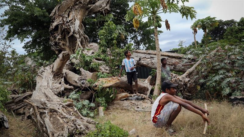 People gather near a banyan tree toppled by Cyclone Pam in 2015 on December 5 2019 in Tanna Vanuatu