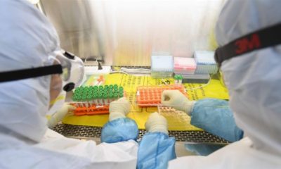 Workers in protective suits examine specimens inside a laboratory following an outbreak of the novel coronavirus in Wuhan China on February 6 2020
