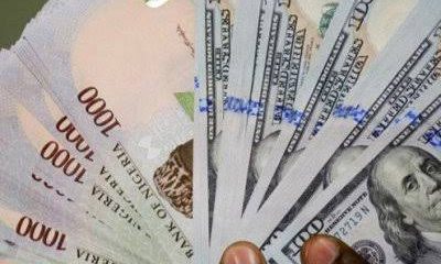 Money naira and dollar