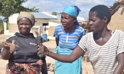 Witchcraft in Malawi