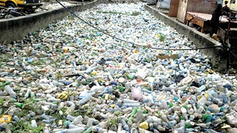 Plastic waste and dust bin