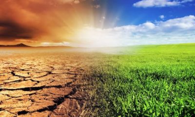 Climate change and agriculture