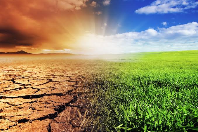 Climate change and agriculture