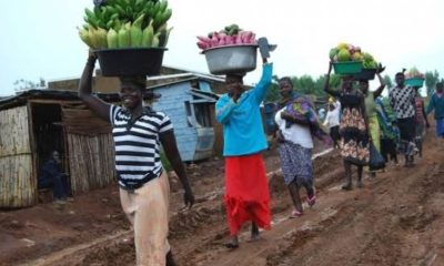 Local farmers and COVID-19
