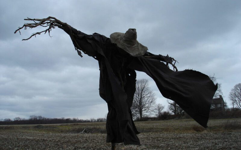 scarecrow on a farm