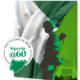 Nigeria at 60