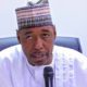 Governor Zulum of Borno State