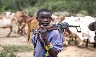 Fulani herdsmen