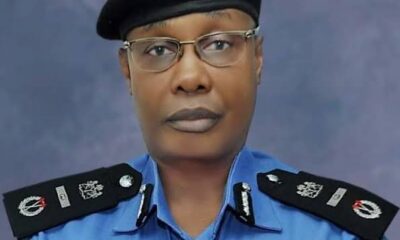 Usman Alkali Baba, new Police IGP