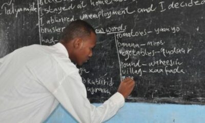 Teachers in Ogun State