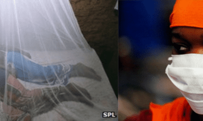 Mosquito and Facemask