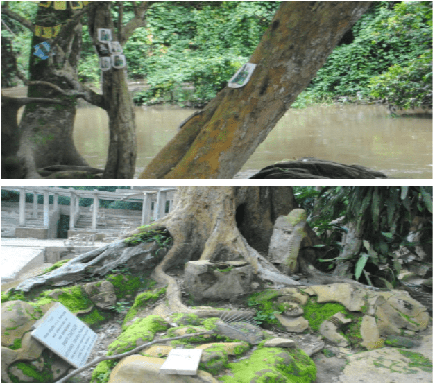 Worship points (shrines) at the Osun-Osogbo sacred grove