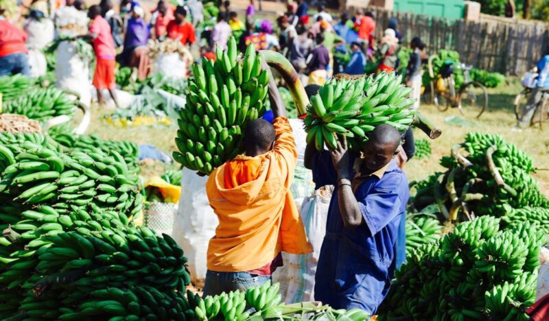 Agriculture and farm produce