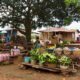 picture of a rural market in a rural area