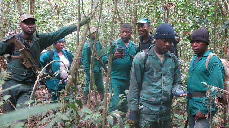 Forest guards in Nigeria