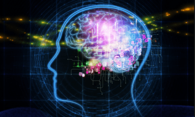 Creativity and Intellectuality