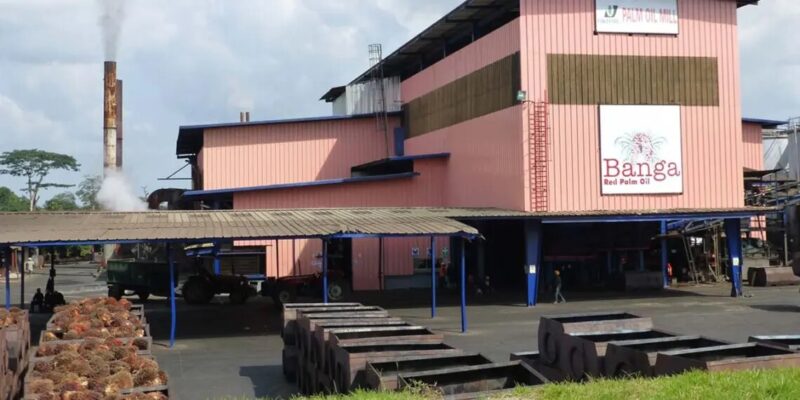 Okomu-Oil-Palm Head Office