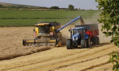 Russia Wheat Exports